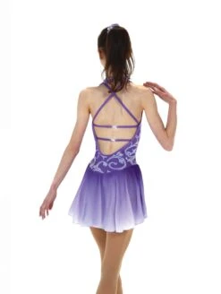 Jerry's Ready To Ship Swaying Violets #555 Skating Dress -Figure Skating Equipment Store 555Back