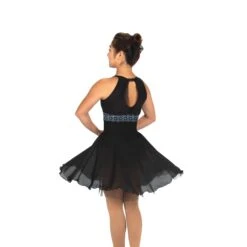 Jerry's Ready To Ship Swan Samba #562 Skating Dress -Figure Skating Equipment Store 562 back