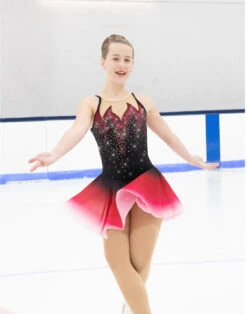 Figure Skating Equipment Store 17 Aurora Ice Cherry Bombe Beaded Skating Dress