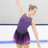 Aurora Ice Amethyst Ombre Skating Dress -Figure Skating Equipment Store AA059front