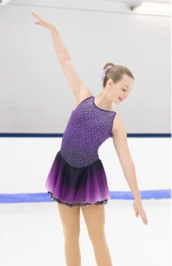 Figure Skating Equipment Store 11 Aurora Ice Amethyst Ombre Skating Dress