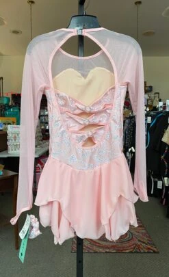 Jerry's Frost Petal #526 Skating Dress -Figure Skating Equipment Store IMG 0053
