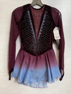 Jerry's Freeze #533 Beaded Skating Dress - Wine -Figure Skating Equipment Store IMG 1567