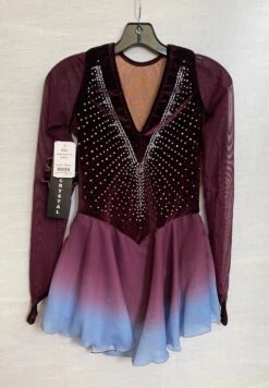 Jerry's Freeze #533 Beaded Skating Dress - Wine -Figure Skating Equipment Store IMG 1569