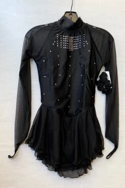 Solitaire Ready To Ship Classic High Neck Linear Beaded Skating Dress Black