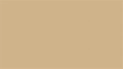 EDEA Skate Laces -Figure Skating Equipment Store tan